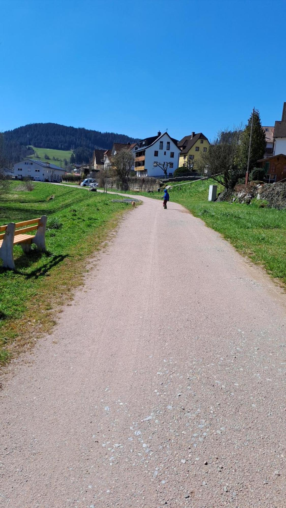 Apartament Les Papillons Schramberg Zewnętrze zdjęcie