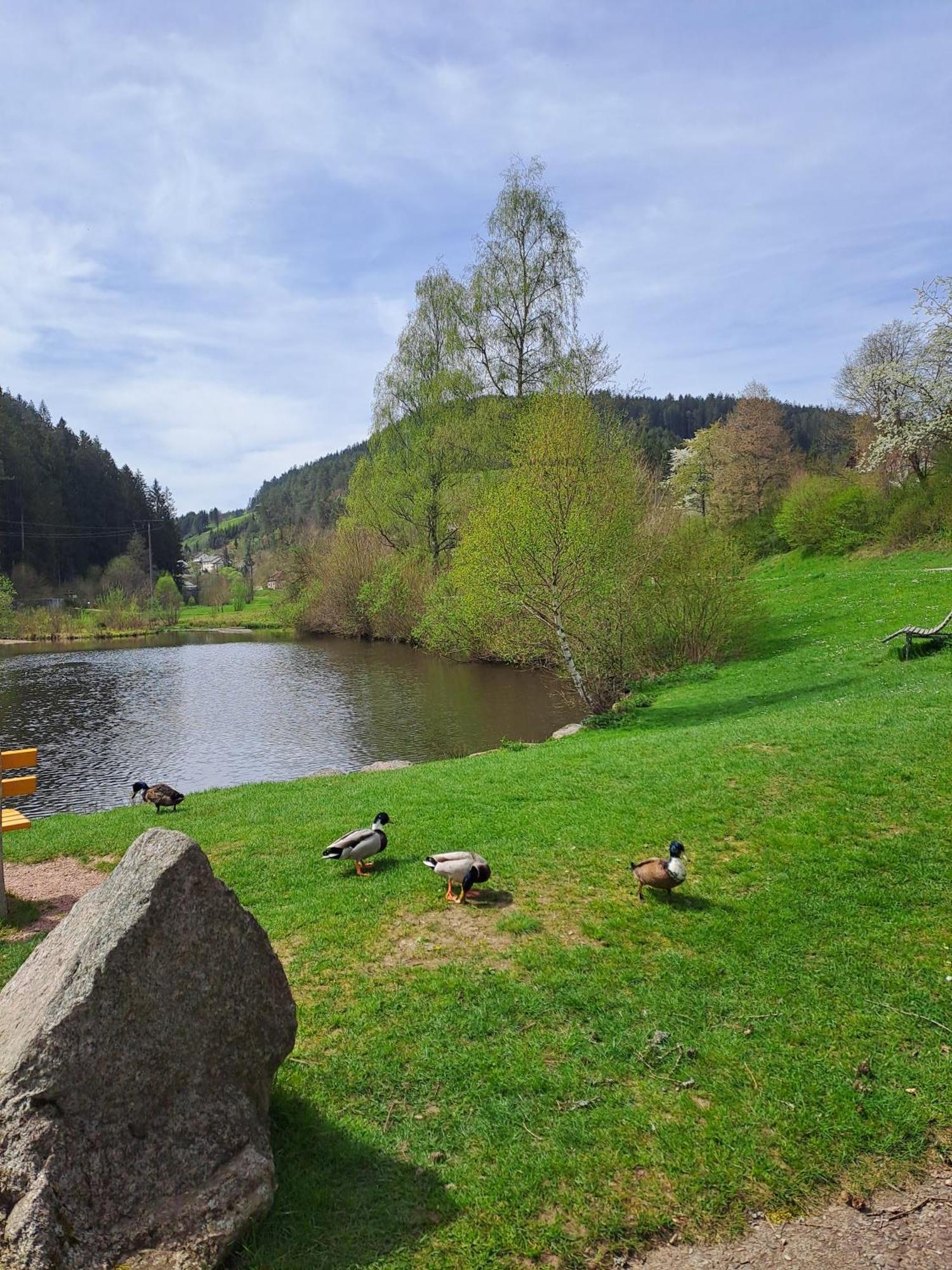 Apartament Les Papillons Schramberg Zewnętrze zdjęcie